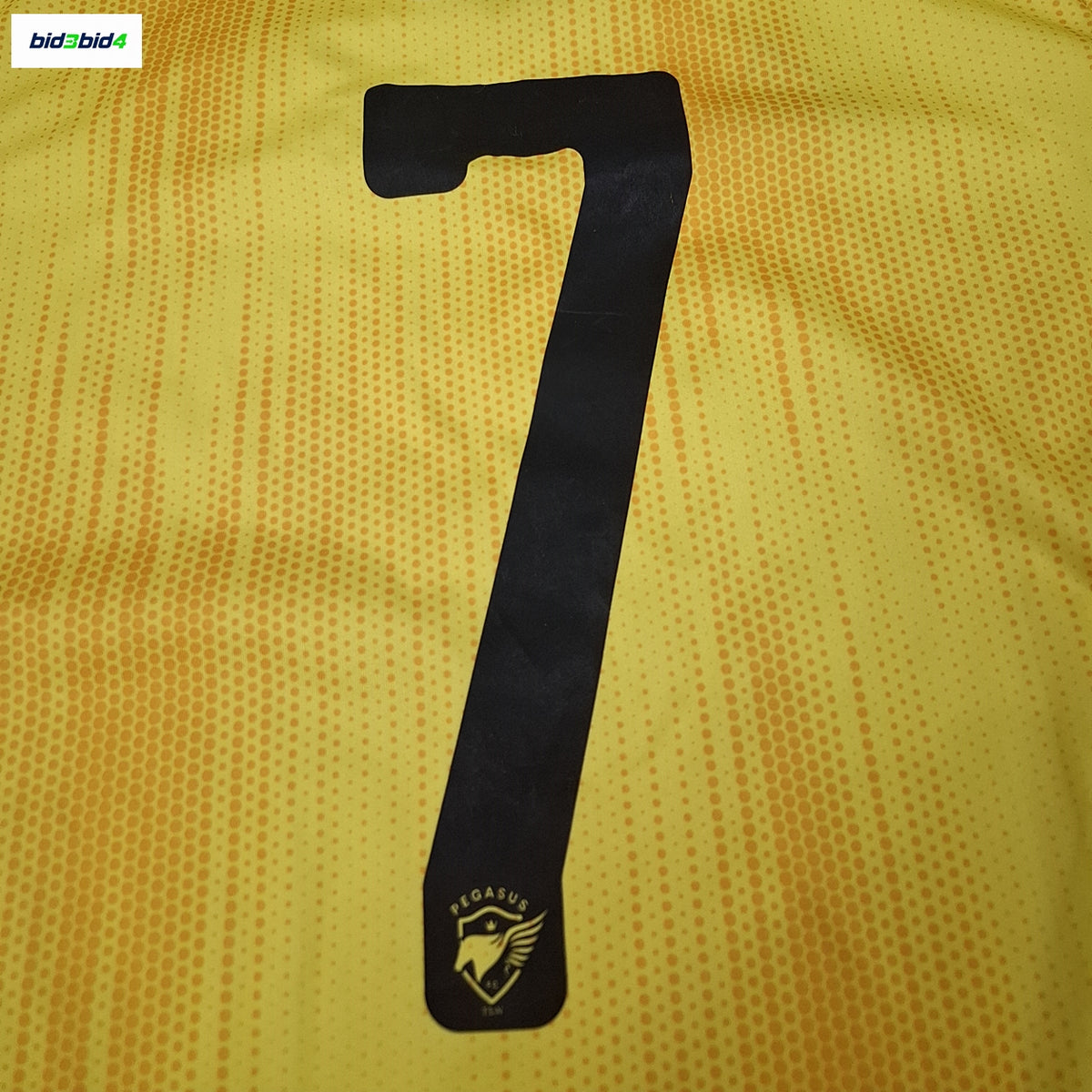 Hong Kong International Sun Ming-him Tin Shui Wai Pegasus Home No. 7 Jersey